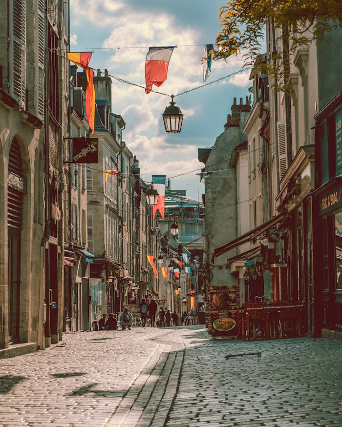 A picturesque view of a cobblestone street in Orléans, France, lined with old buildings and colorful flags.